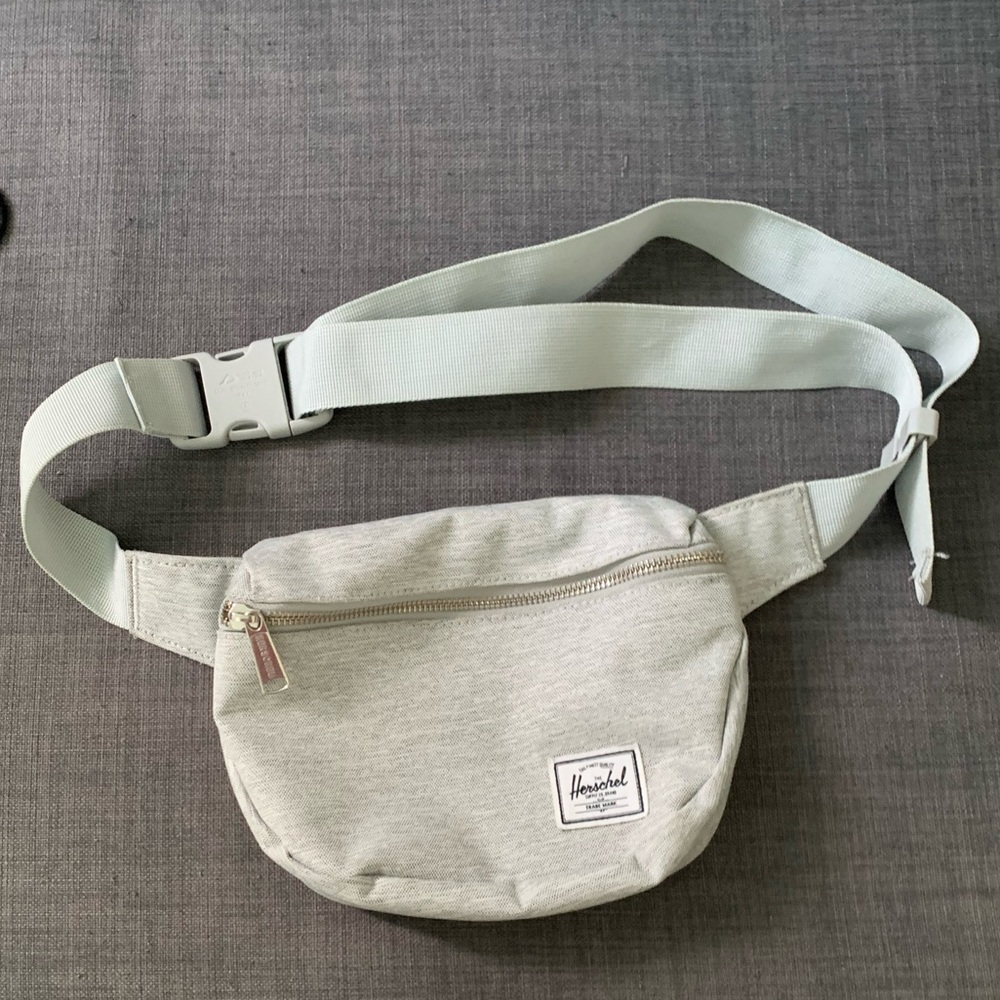 Hershel Fifteen Hip Pack